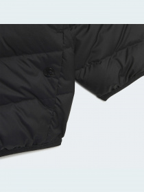 Куртки и дубленки Adidas модель H25221 Фото