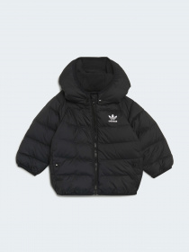 Куртки и дубленки Adidas модель H25221 Фото