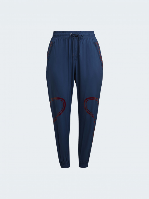 Брюки Adidas модель HK0483 Фото