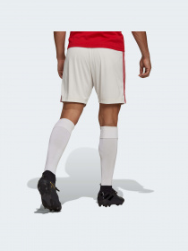 Шорти Adidas модель H31448 Фото