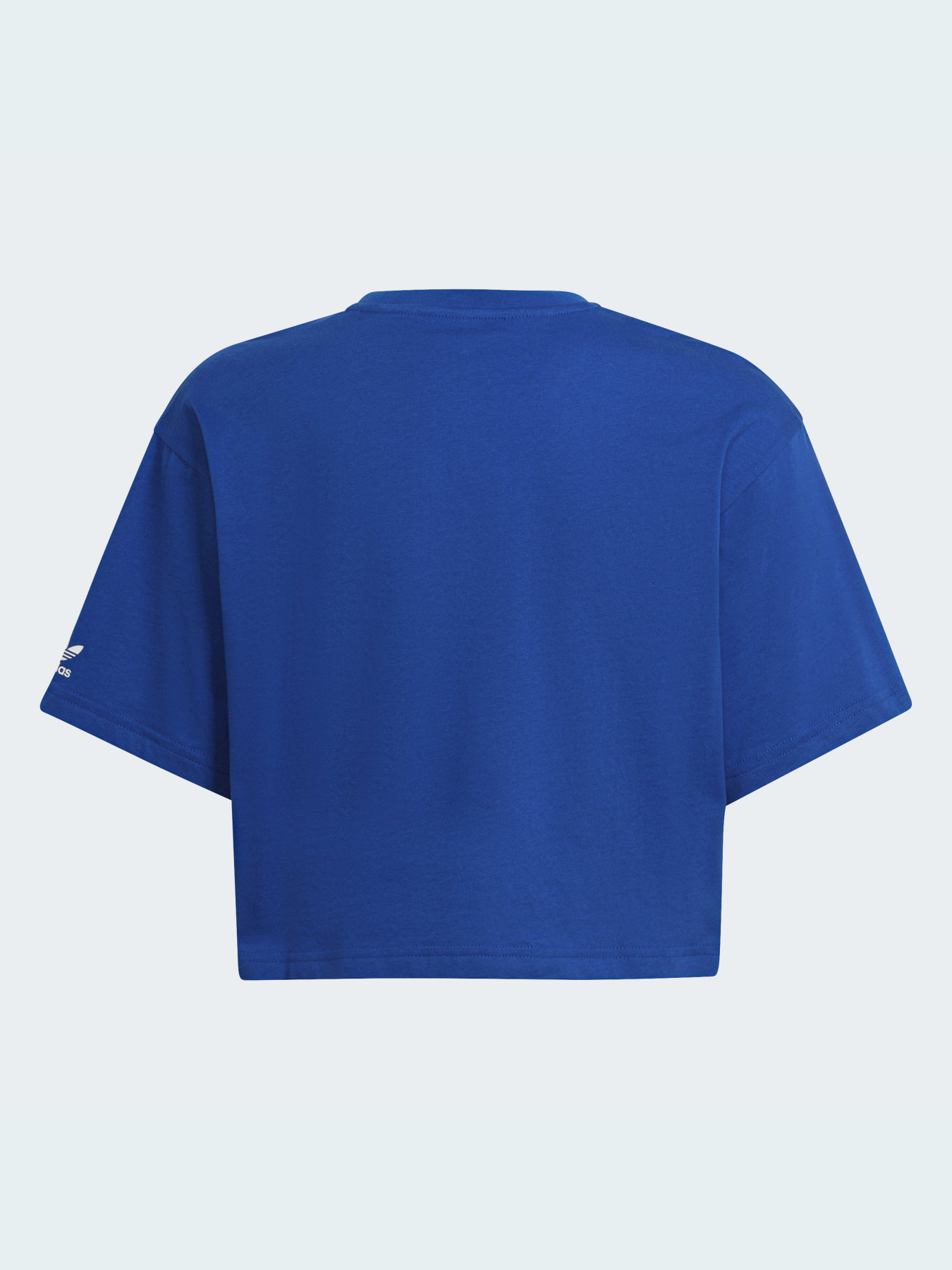 Футболки і поло Adidas Adicolor модель HE4775 Футболки і поло Adidas Adicolor модель HE4775 Фото