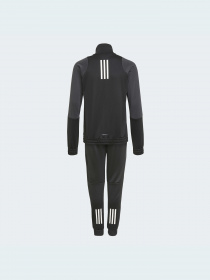 Костюми Adidas Graphics модель GT6911 Фото