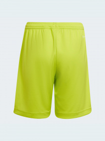 Шорти Adidas модель HC5065 Фото