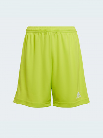 Шорти Adidas модель HC5065 Фото