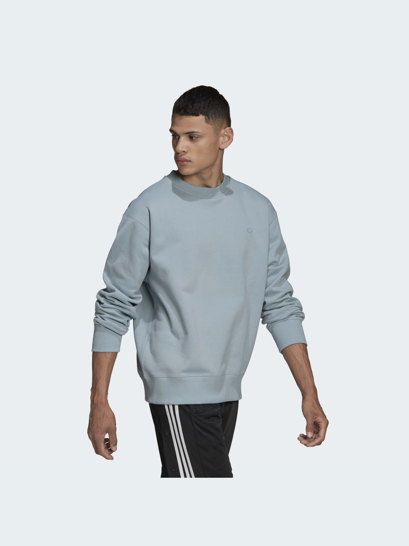 Худі та світшоти Adidas Adicolor модель HC4527 Фото