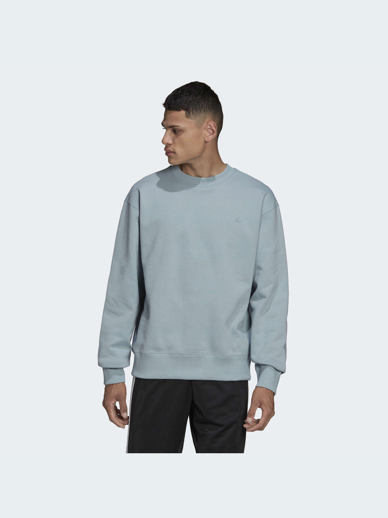 Худі та світшоти Adidas Adicolor модель HC4527 Фото