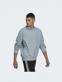 Худі та світшоти Adidas Adicolor модель HC4527 Фото