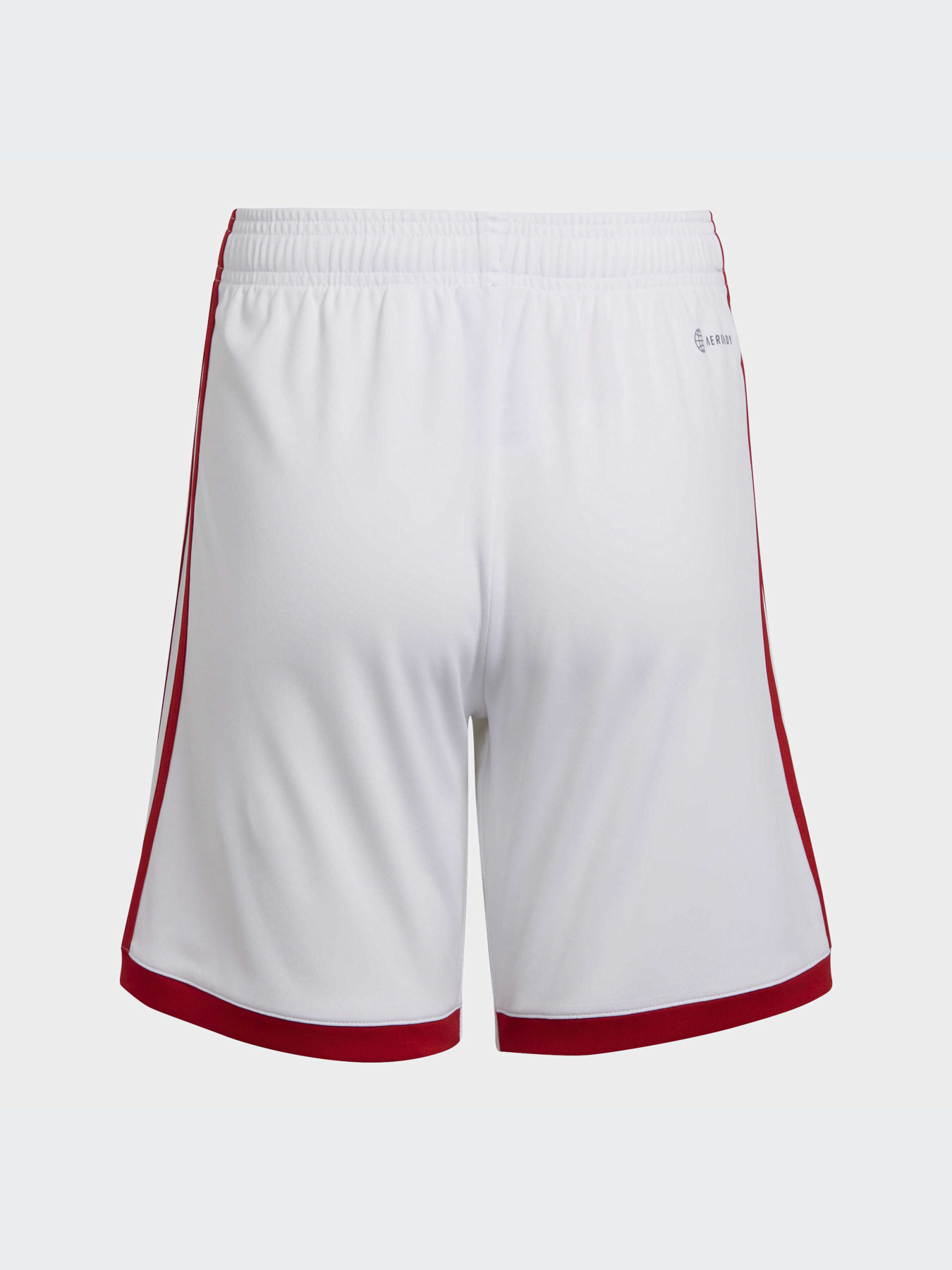 Шорты Adidas модель HA5331 Шорты Adidas модель HA5331 Фото