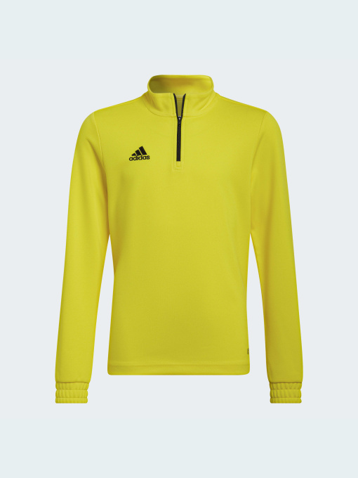 Худи и свитшоты Adidas модель HI2133 Фото