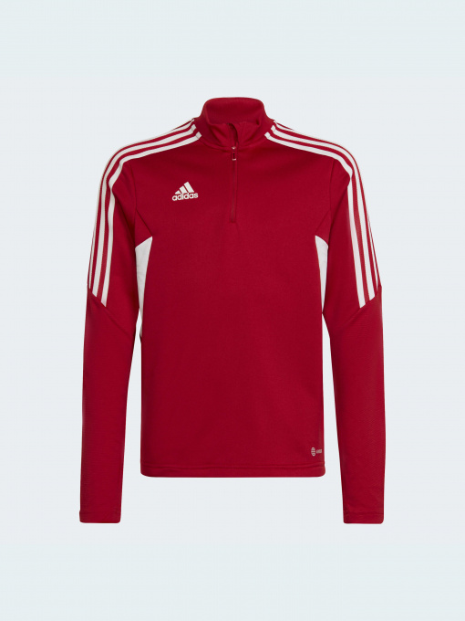 Худи и свитшоты Adidas Condivo модель HA6262 Фото