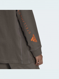 Худи и свитшоты Adidas модель IB5897 Фото
