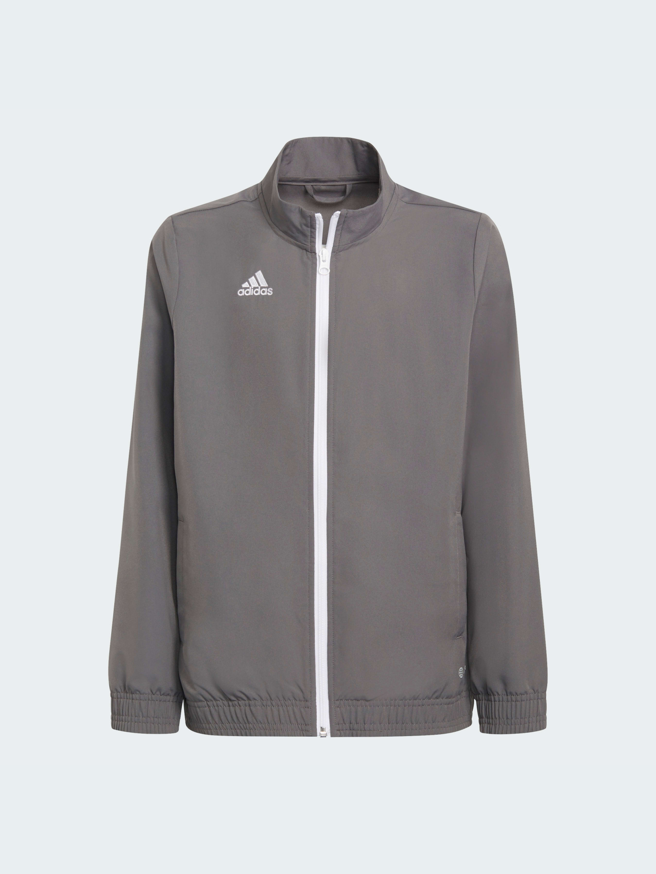 Худи и свитшоты Adidas модель H57539 Фото