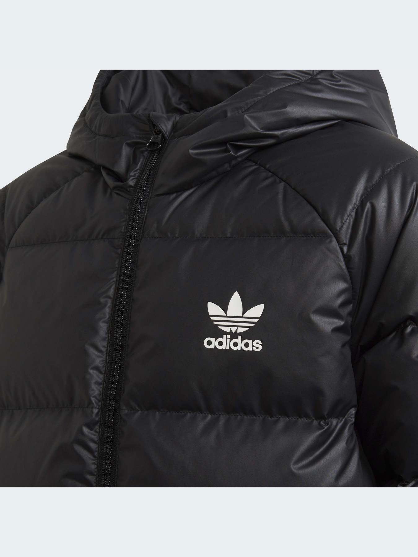 Куртки и дубленки Adidas модель H34567 Фото