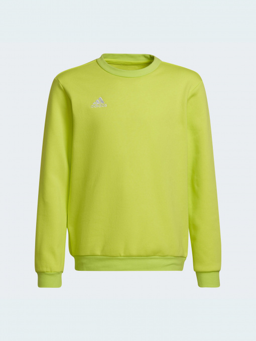 Худи и свитшоты Adidas модель HC5043 Фото