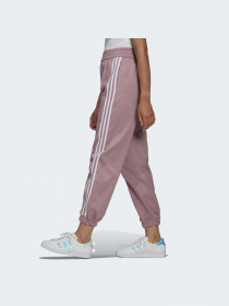 Штани Adidas Adicolor модель HC4546 Фото