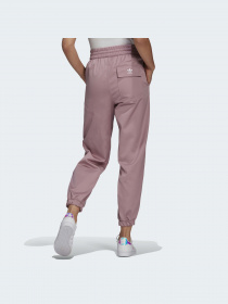 Штани Adidas Adicolor модель HC4546 Фото