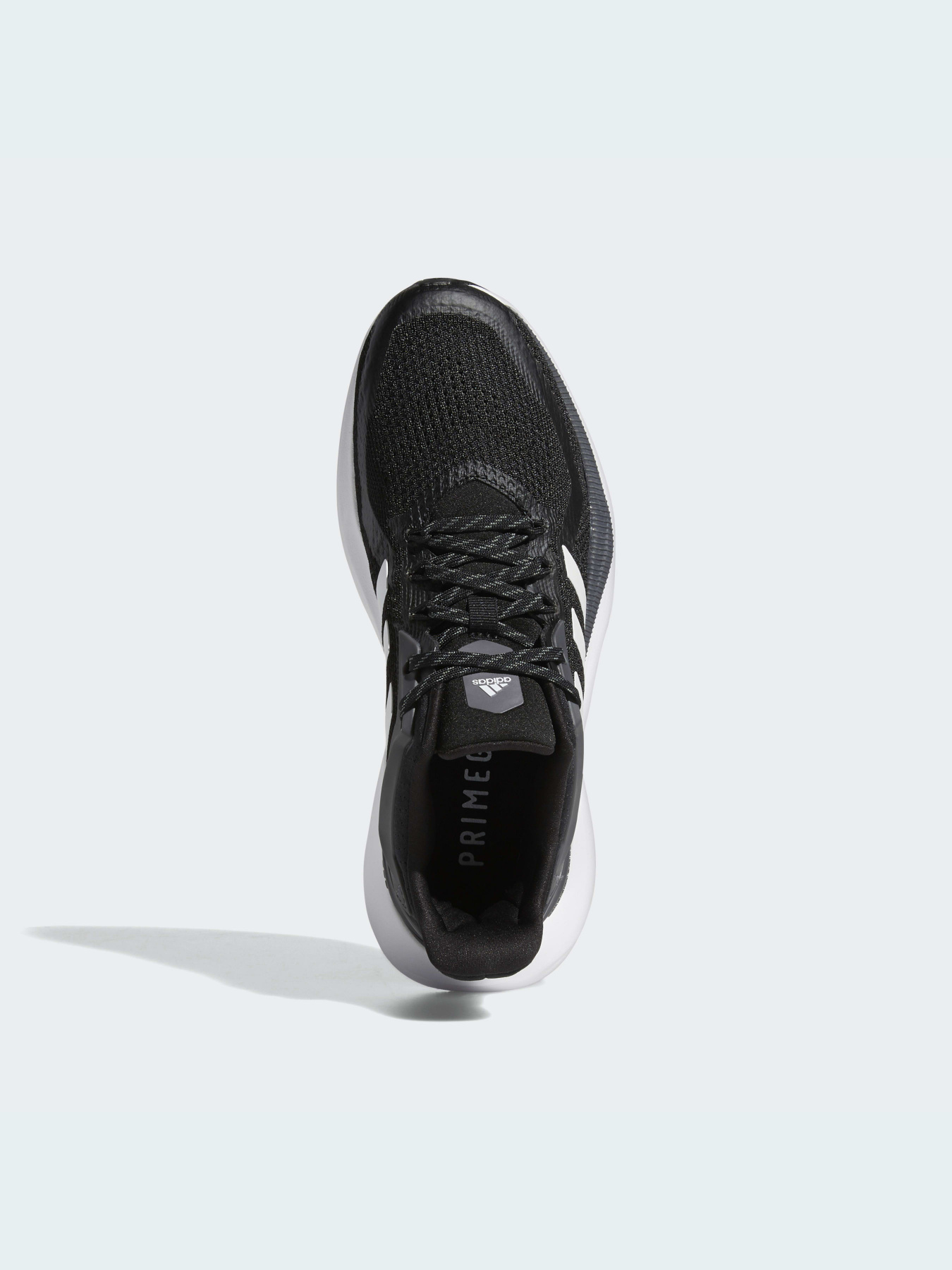 Кроссовки Adidas Alphatorsion модель GZ8766 Фото