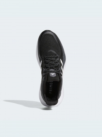 Кроссовки Adidas Alphatorsion модель GZ8766 Фото