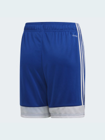 Шорти Adidas модель DP3686 Фото