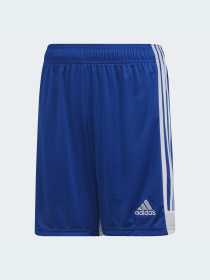 Шорти Adidas модель DP3686 Фото
