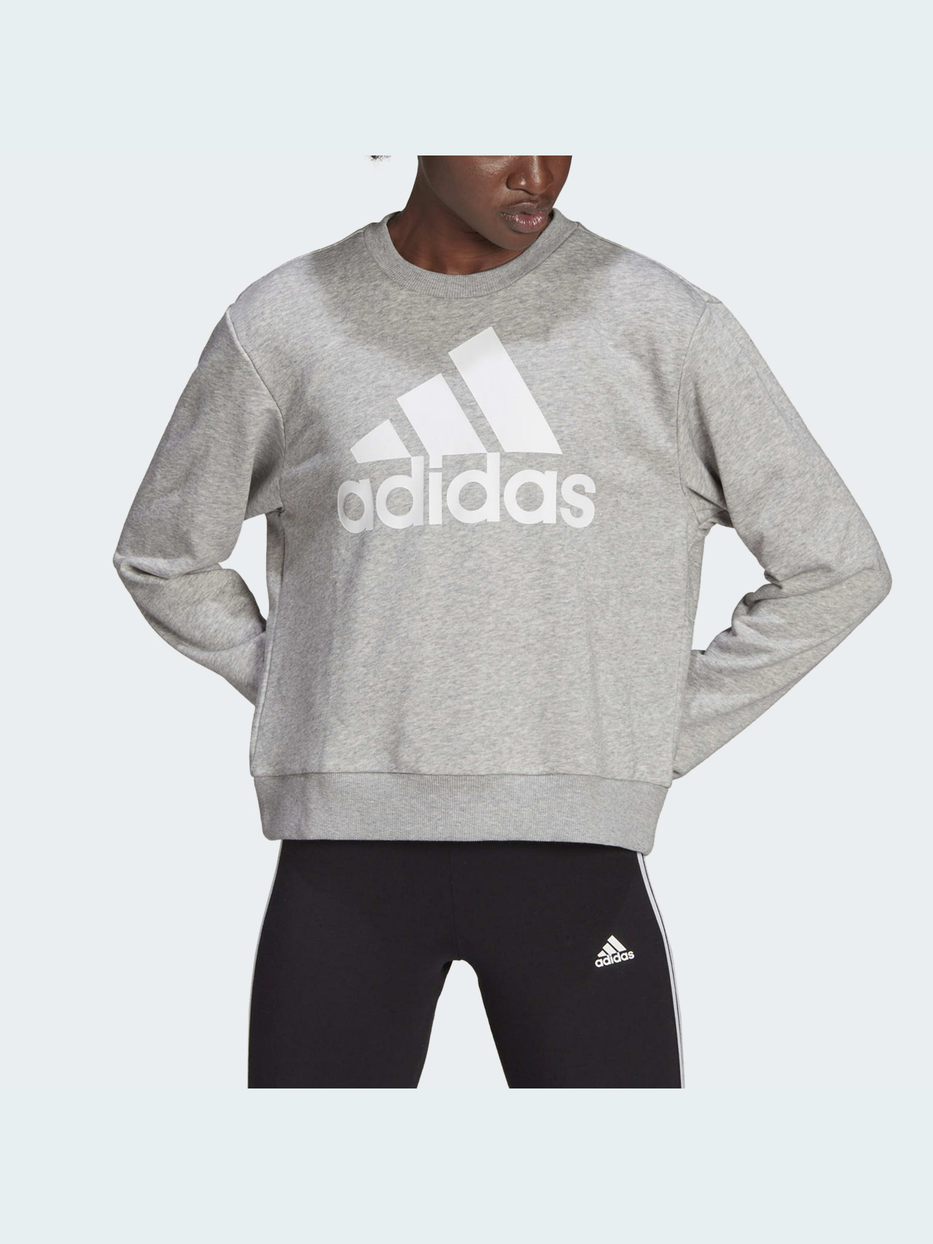 Худи и свитшоты Adidas модель HD1753 Фото