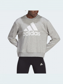 Худи и свитшоты Adidas модель HD1753 Фото