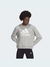 Худи и свитшоты Adidas модель HD1753 Фото