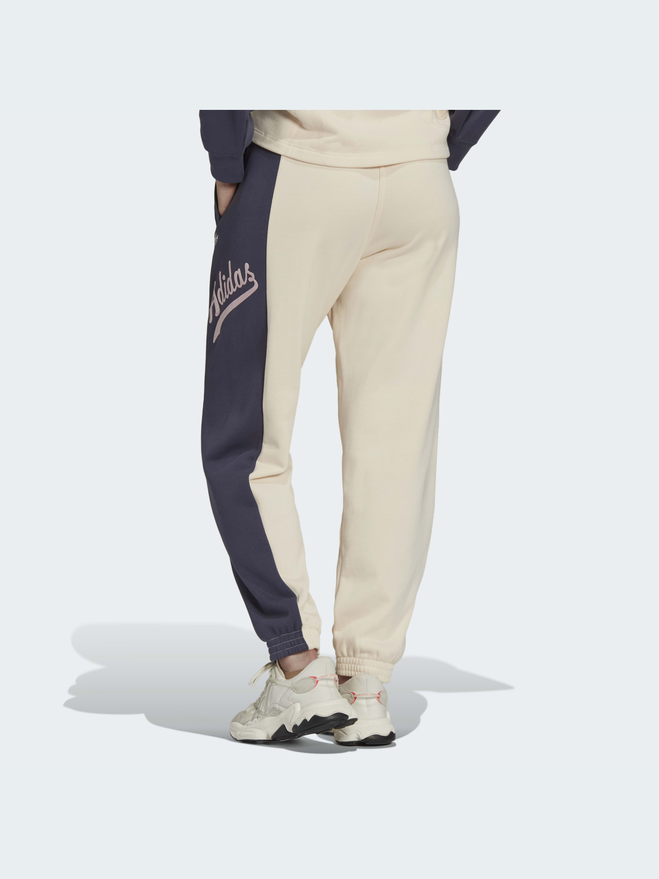 Штани Adidas Graphics модель HD9779 Фото