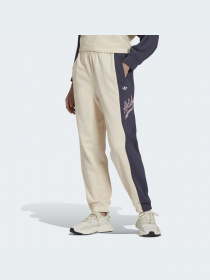 Штани Adidas Graphics модель HD9779 Фото