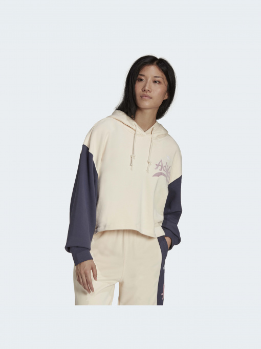 Худи и свитшоты Adidas Graphics модель HD9782 Фото