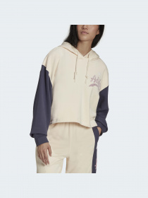 Худі та світшоти Adidas Graphics модель HD9782 Фото