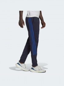 Штани Adidas 3 Stripes модель HC5263 Фото