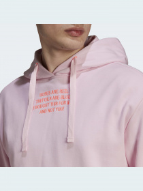 Худи и свитшоты Adidas Graphics модель HI6017 Фото