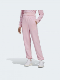 Брюки Adidas модель HM4873 Фото
