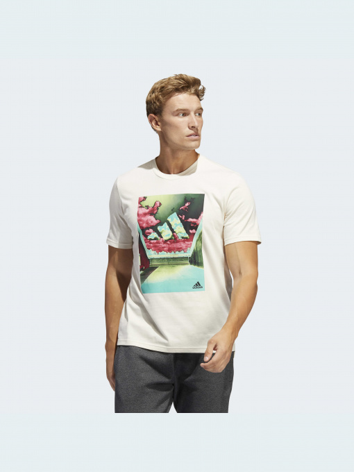 Футболки и поло Adidas Graphics модель HE2309 Фото