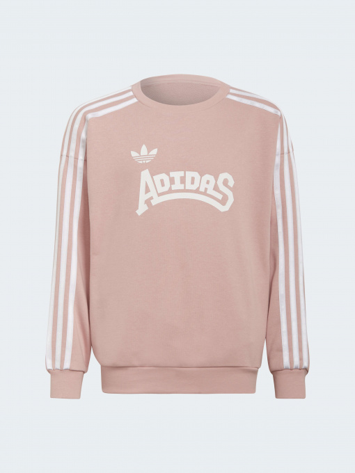 Худі та світшоти Adidas Graphics модель HC4559 Фото