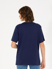 Футболки и поло US Polo модель G082SZ011.000.1567253.VR033 Фото