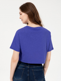 Футболки и поло US Polo модель G082SZ011.000.1382918.VR212 Фото