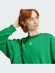 Худи и свитшоты Adidas модель IJ9772 Фото