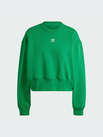 Худи и свитшоты Adidas модель IJ9772 Фото