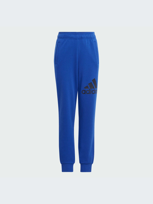 Штани Adidas модель IJ6301 Фото