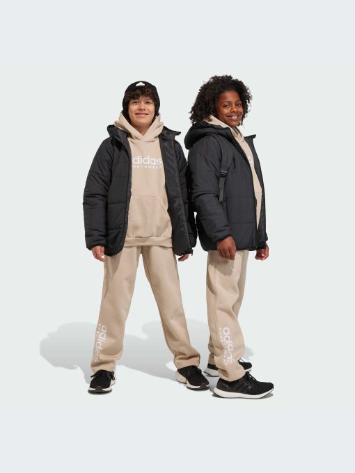 Штани Adidas модель IB3234 Фото