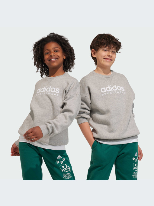 Худи и свитшоты Adidas модель IL4931 Фото