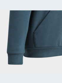 Худи и свитшоты Adidas Adicolor модель IJ9717 Фото