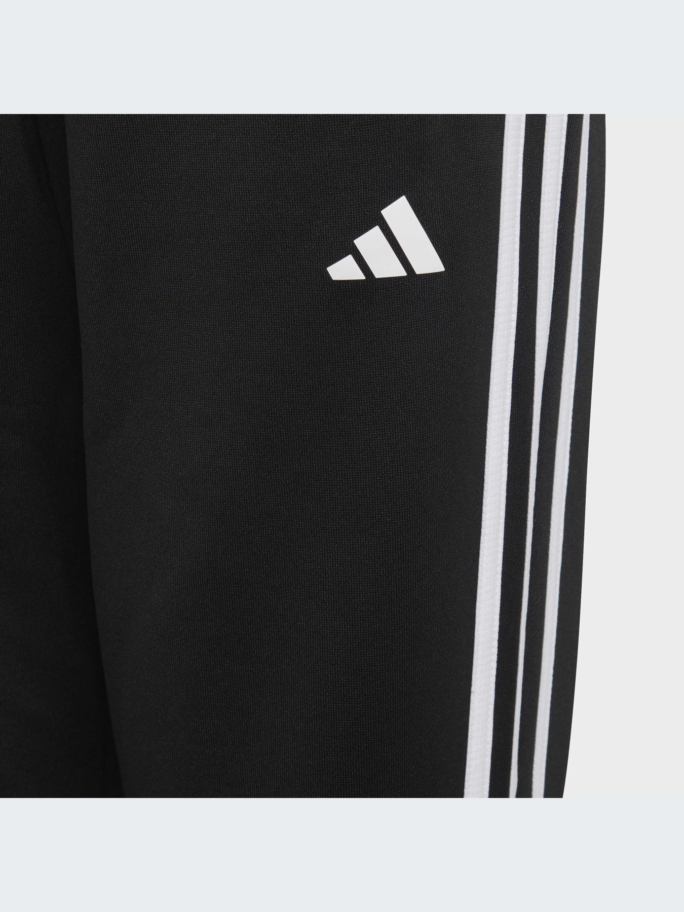 Штани Adidas модель HY1098 Фото