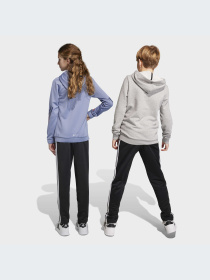 Штани Adidas модель HY1098 Фото
