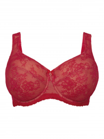 Нижня білизна Anita модель 5216Abby_Cherry Фото
