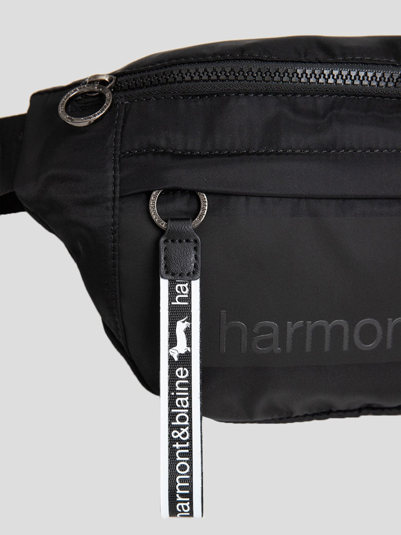 Сумки Harmont&Blaine модель H2DPMH040032999 Сумки Harmont&Blaine модель H2DPMH040032999 Фото