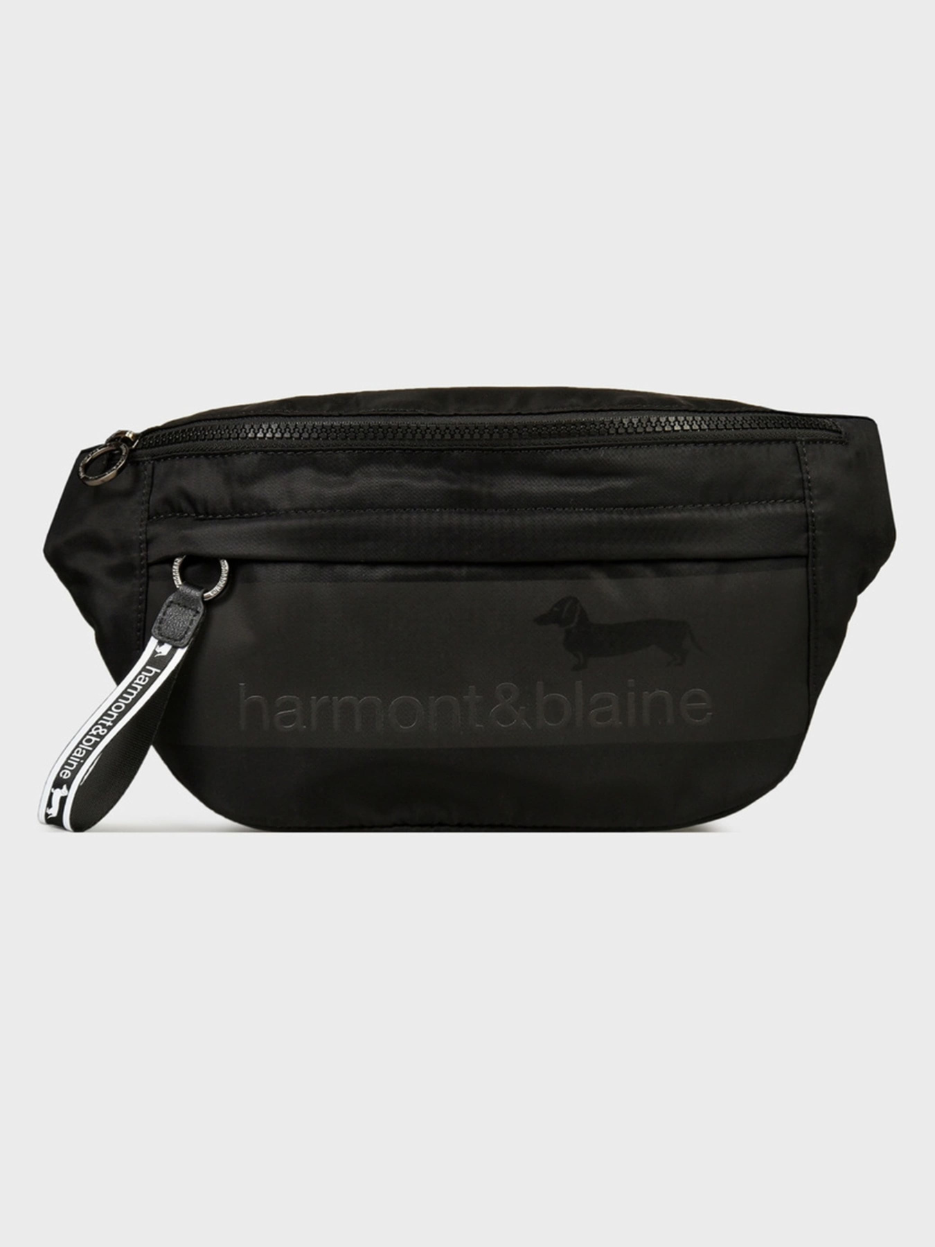 Сумки Harmont&Blaine модель H2DPMH040032999 Сумки Harmont&Blaine модель H2DPMH040032999 Фото