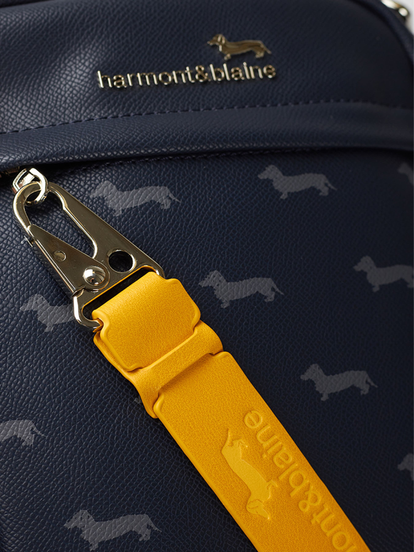 Сумки Harmont&Blaine модель H2DPMH030022082 Фото
